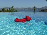 Red bear learns to swim