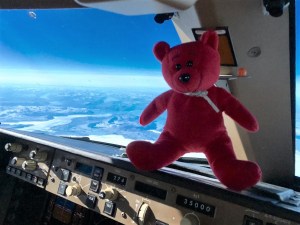 Greenland? But it's white! Red Bear checks out the flight deck...