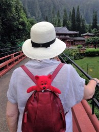 Red Bear gets a ride to a Buddhist temple in Honolulu...